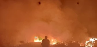 Erdek'te çöplük yangını söndürüldü