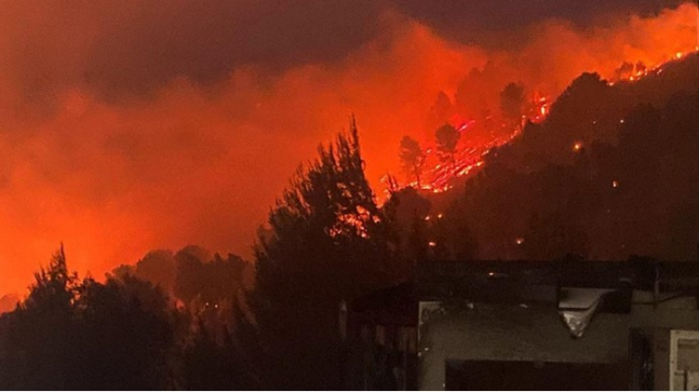 İsrail'de meydana gelen yangın söndürüldü mü? İsrail yangını neden çıktı?