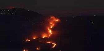 İsrail'de meydana gelen yangın söndürüldü mü? İsrail yangını neden çıktı?