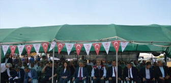 Malatya Yazıhan'da Hububat Hasat Bayramı düzenlendi