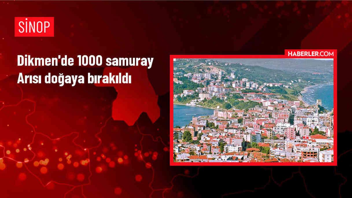 Sinop'ta kahverengi kokarca ile mücadele kapsamında 1000 samuray arısı doğaya salındı