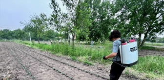 Düzce'de Kadınlar Tarımsal Kalkınma Kooperatifi Kurdu