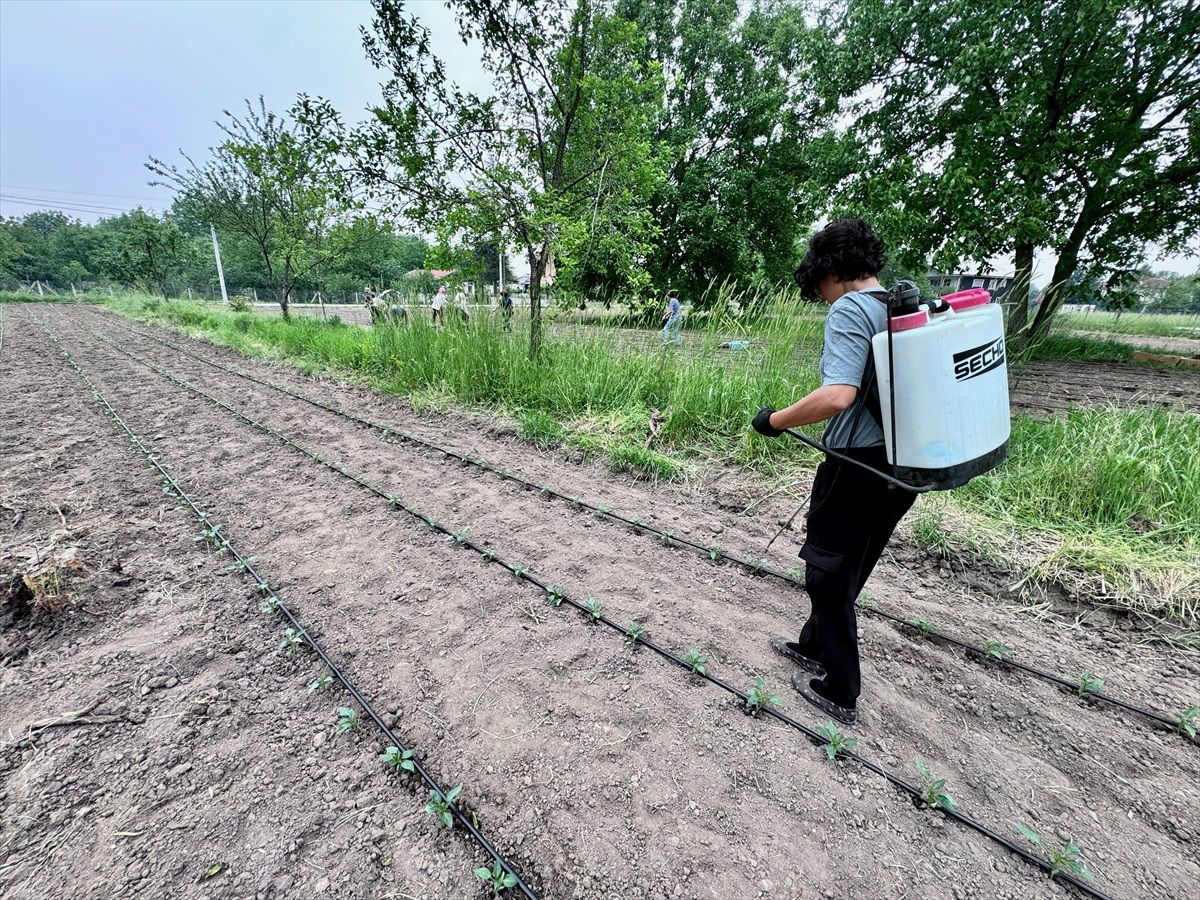 Düzce'de Kadınlar Tarımsal Kalkınma Kooperatifi Kurdu