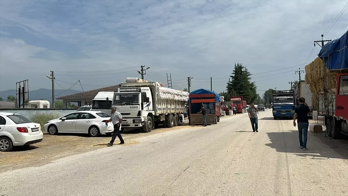 Düzce'de Kurbanlık Satışı Yavaş