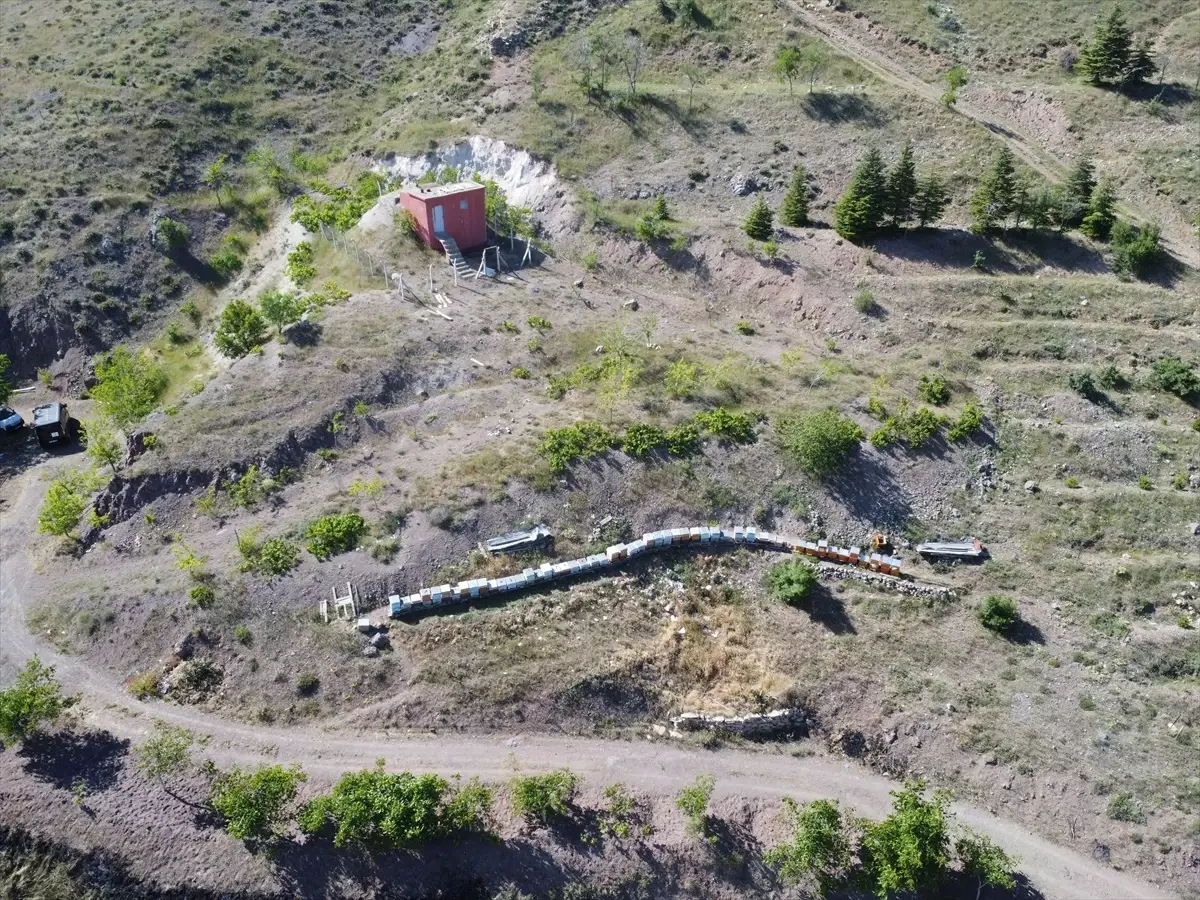 Elazığ'da Türk Kızılayı Arı Kovanlarından Burs Projesi