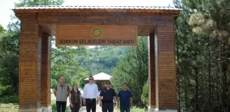 Gerze Kaymakamı Sorgun Şelalesi'ndeki çalışmaları inceledi
