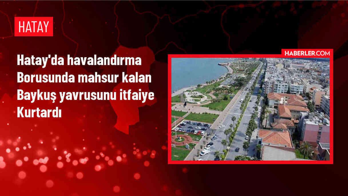 Belen'de mahsur kalan baykuş yavrusu itfaiye tarafından kurtarıldı