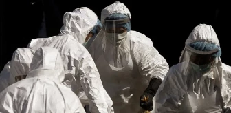 Kuş gribinde ilk ölümcül vaka! DSÖ'den 'Hazır olun yeni pandemi geliyor' uyarısı