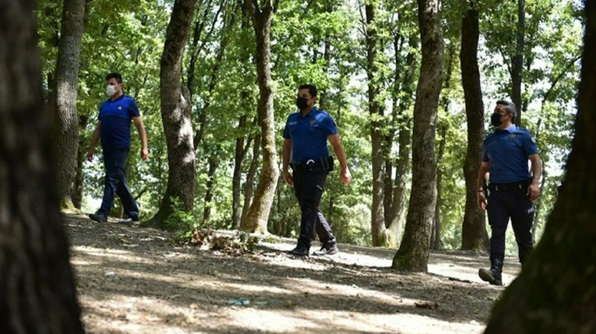 İstanbul Valiliği liste yayınladı! Belirlenen alanlar dışında ormanlık alanlara giriş yasak