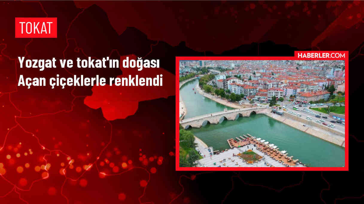 Yozgat ve Tokat'ta Bahar Çiçekleriyle Renklendi