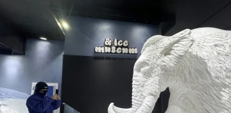 Antalya Akvaryum Kompleksi'ndeki Kar Dünyası Ziyaretçileri Serinletiyor