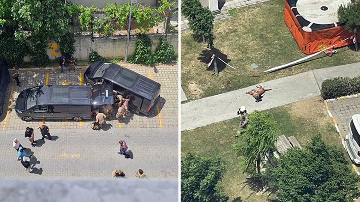 Başakşehir'de emekli polis dehşeti: Ailesini rehin aldı, köpeği öldürüp camdan aşağıya attı