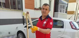 Bilecik'te Yakalanan Yılanlar Doğaya Bırakıldı