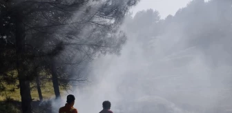 Bingöl'ün Genç ilçesinde ormanlık alanda çıkan örtü yangını söndürüldü