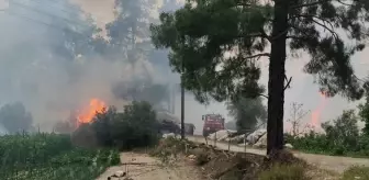 Burdur Bucak'ta çıkan orman yangını kontrol altına alındı