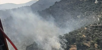 Edremit'te çıkan yangın ormanlık alana sıçramadan söndürüldü