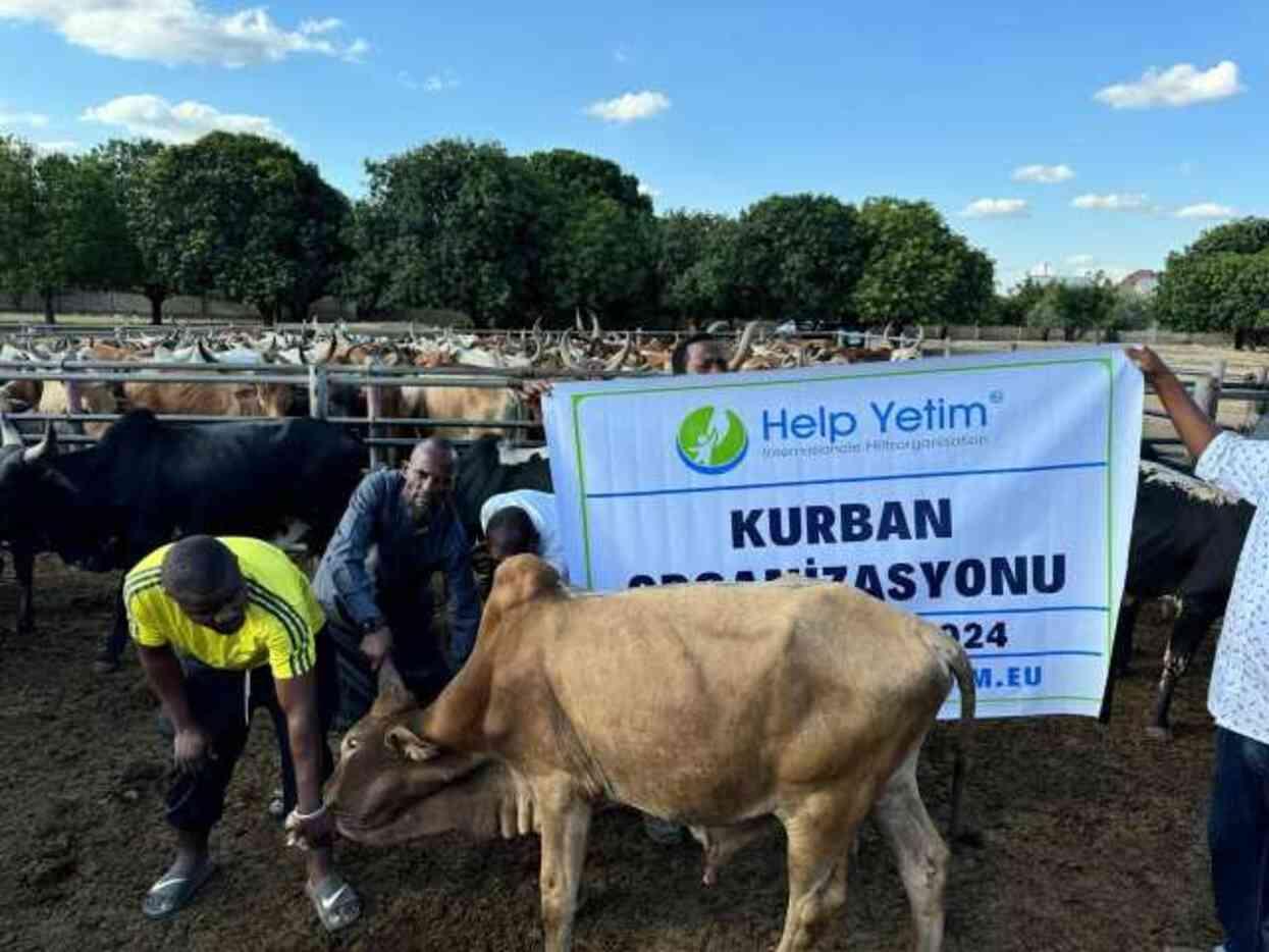 Help Yetim, Kurban Bağışları Dünya Mazlumlarının Sofrasına Ulaşacak Help Yetim, Kurban Bağışları Dünya Mazlumlarının Sofrasına Ulaşacak