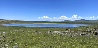 Kars'ın Sarıkamış ilçesindeki Asboğa Gölü, turistleri ve kuş gözlemcilerini ağırlıyor