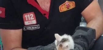 Lüleburgaz'da su borusuna sıkışan kedi yavrusu kurtarıldı