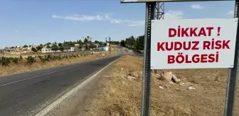 Şanlıurfa'da Kuduz Vakaları Nedeniyle Karantina Uygulaması Başlatıldı