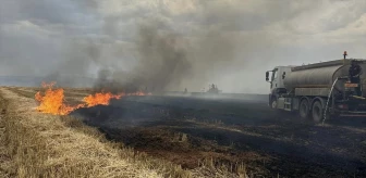 Cizre'de yıldırım düşmesiyle çıkan yangınlarda 360 dönüm ekili alan zarar gördü