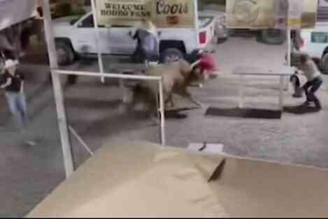 ABD'de boğa güreşi sırasında seyircilere saldıran boğa dehşet saçtı: 1'i ağır 3 kişi yaralandı ABD'de boğa güreşi sırasında seyircilere saldıran boğa dehşet saçtı: 1'i ağır 3 kişi yaralandı