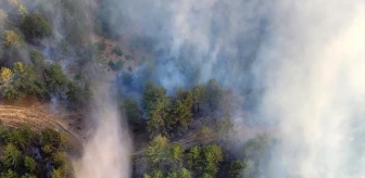 Adana'nın Feke ilçesinde çıkan orman yangını kontrol altına alındı