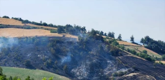 Balıkesir'deki Orman Yangını Kontrol Altına Alındı
