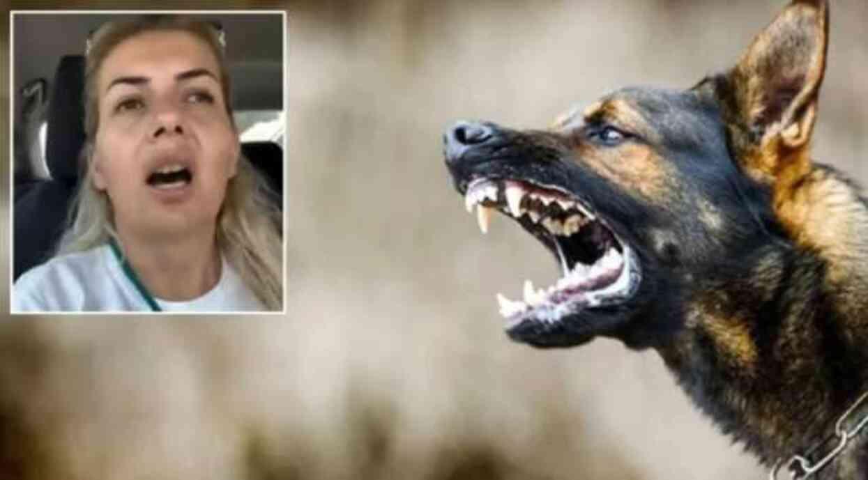 BUKET ÖZGÜNLÜ BOYACI NEDEN TUTUKLANDI? Şanlıurfa'dan Ankara'ya kuduz köpek getirme olayı ne?