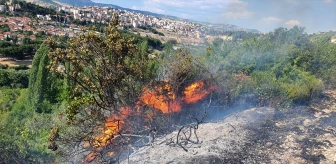 Manisa Demirci'de Tarım Arazisinde Çıkan Yangın Söndürüldü