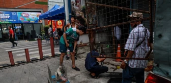 Bangkok'taki Hayvan Pazarında Çıkan Yangında Binlerce Hayvan Öldü