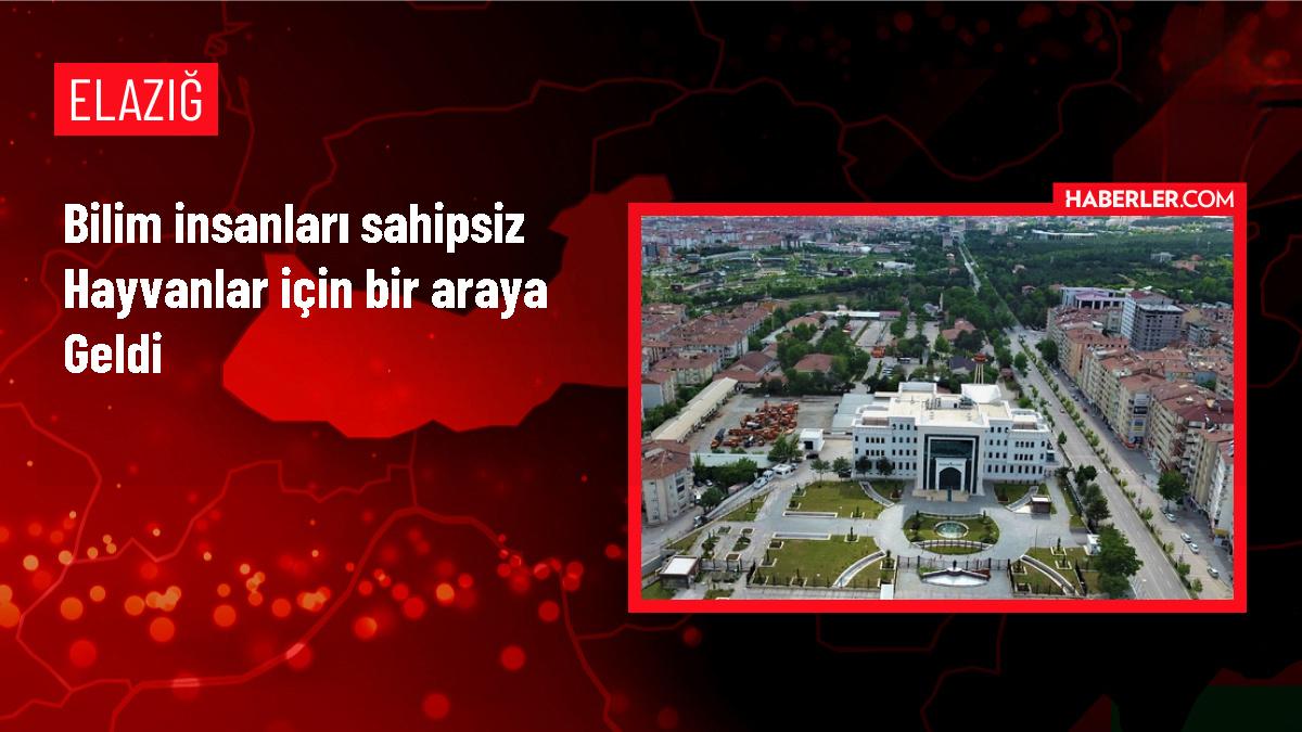 TÜBA Sokak Hayvanları Sempozyumu düzenlendi