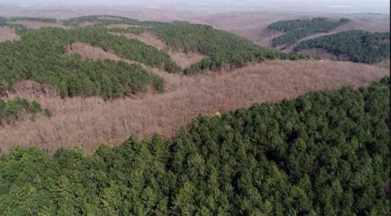 Kırşehir'de ormanlara giriş yasak mı? Ormanlara giriş yasağı ne zaman başlıyor, ne zaman bitiyor?
