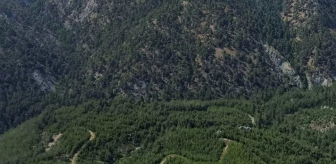 Kırşehir'de ormanlara giriş yasak mı? Ormanlara giriş yasağı ne zaman başlıyor, ne zaman bitiyor?
