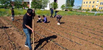 Muş'ta Öğretmen ve Öğrenciler Tarım Projesiyle Kendi Sebzelerini Yetiştiriyor