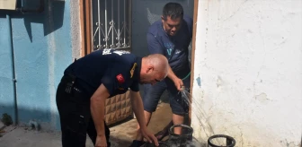 Aydın'da çıkan yangın 3 evde hasara yol açtı