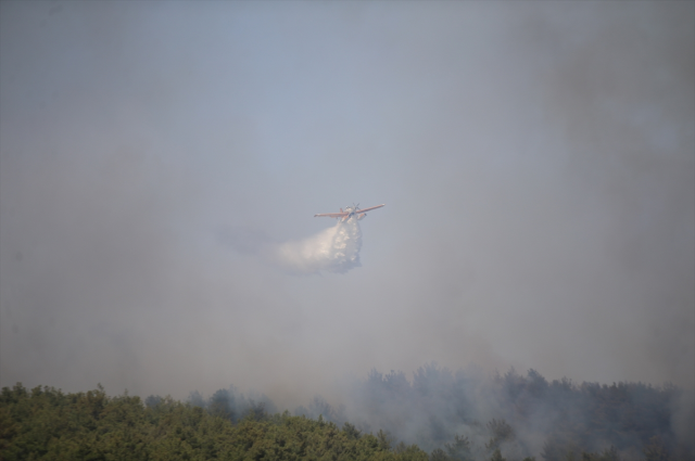 Çanakkale Eceabat'ta orman yangını! Köylere uyarılar yapıldı