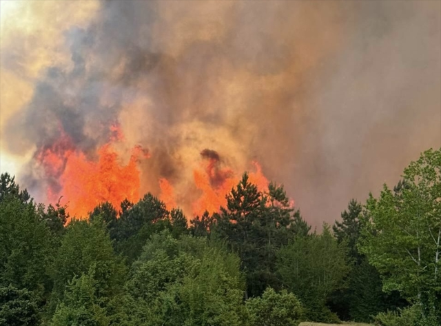 Çanakkale ve Sinop'ta orman yangını! Köylere uyarılar yapıldı