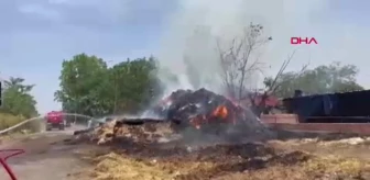 Edirne'deki çiftlikte çıkan yangında 1000 ot balyası yandı