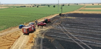 Edirne'de Tarlada Çıkan Yangında 20 Dönüm Buğday Yandı