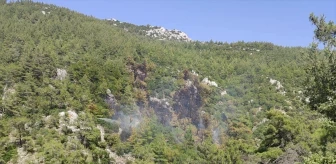 Muğla'da çıkan yangında 2 hektar ormanlık alan zarar gördü