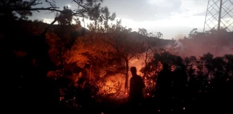 Muğla'da yangın mı çıktı? Muğla'daki orman yangını söndürüldü mü?
