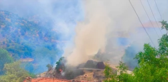Ankara'nın Nallıhan ilçesinde samanlık ve değirmen yangını