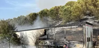 Balıkesir'deki arazi ve orman yangınları söndürüldü