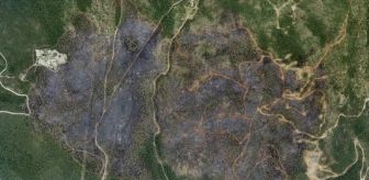 Bursa Orman Yangınında 96 Hektar Ormanlık Alan Zarar Gördü