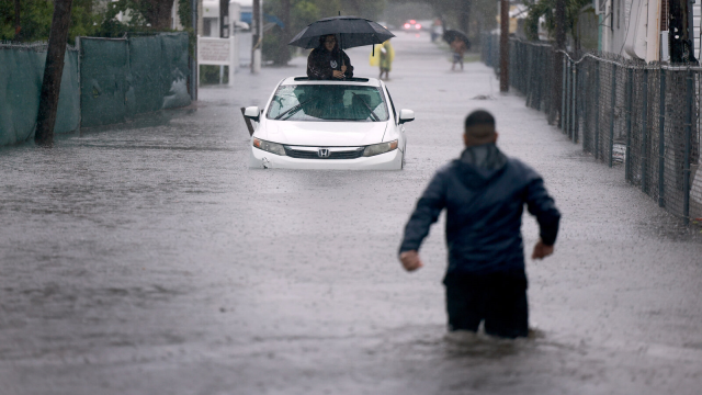 Florida'da Sel Felaketi: Acil Durum İlan Edildi
