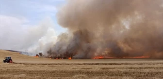 Kırıkkale'de Yangında 70 Hektar Buğday Alanı Zarar Gördü
