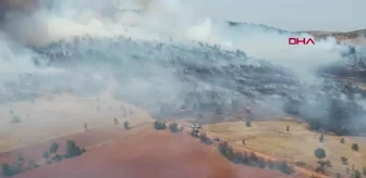 Manisa Kula'da Orman Yangını