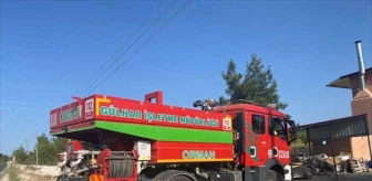 Mersin'de Orman Yangınlarına Karşı Vatandaşlara Uyarı