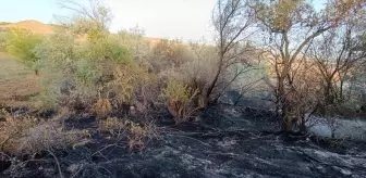 Tunceli'de çıkan yangın kontrol altına alındı